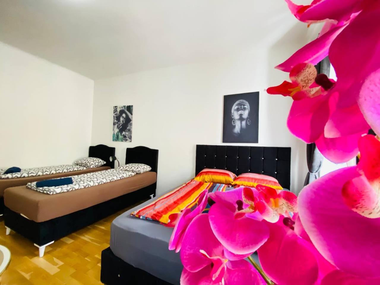 Apartmán Deluxe Studio In Josefstaedter Strasse Area Vídeň Exteriér fotografie
