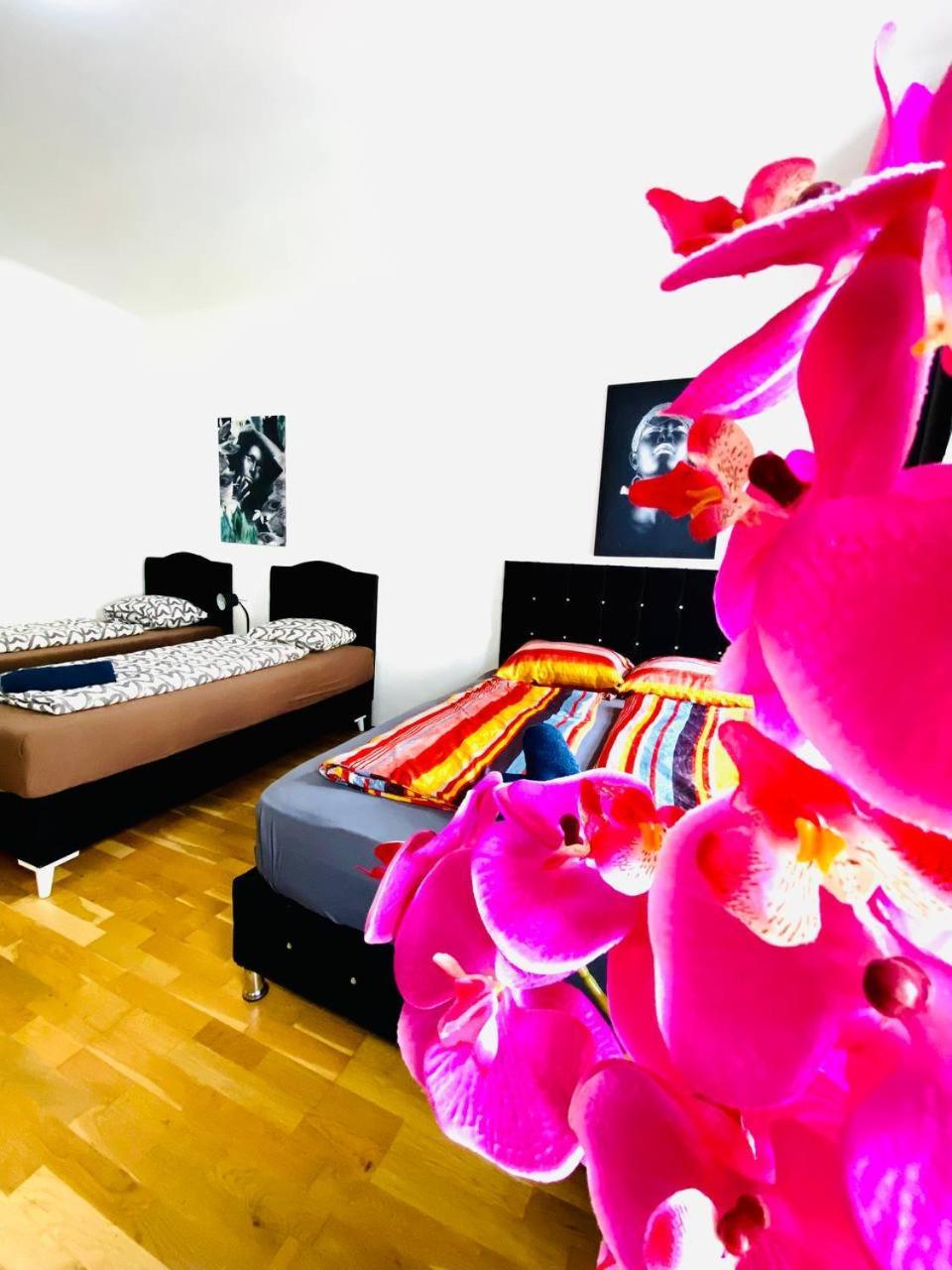 Apartmán Deluxe Studio In Josefstaedter Strasse Area Vídeň Exteriér fotografie